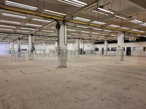 Galpon en Alquiler A Estrenar