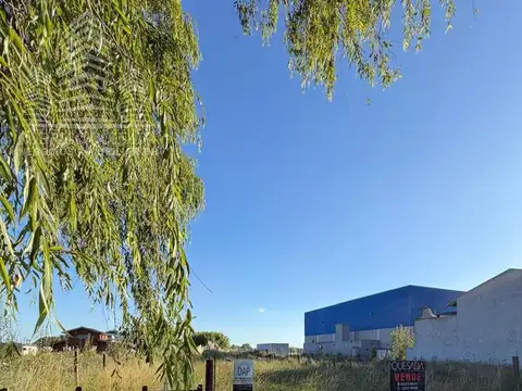 Terreno en Venta 48  mts Fondo