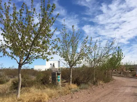 Etapa Terrazas, Manzana 2F 17