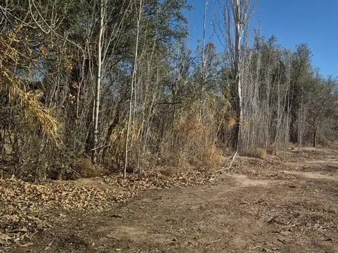 Oportunidad Lote Bermejo Calle Avelino Maure