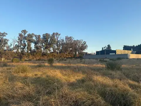 Terreno en Venta de 1784,0 m2