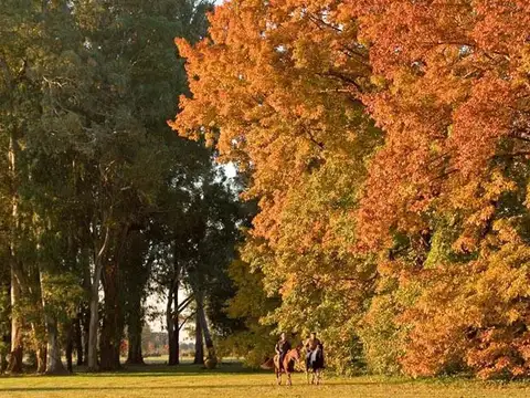 Av. Pereda S/N Máximo Paz, Ezeiza 1812 Ezeiza Buenos Aires