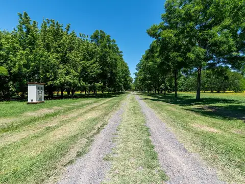 Terreno en Venta de 3030,0 m2