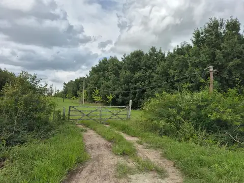 137 y 647