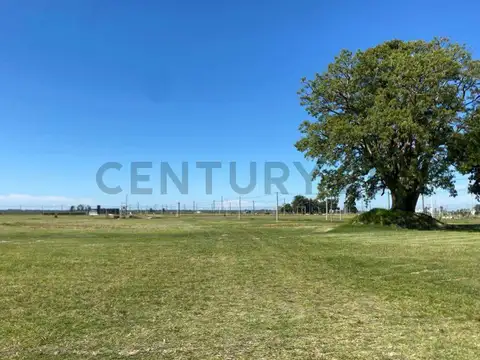 Terreno en Venta 50  mts Fondo