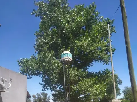 Casa en venta - 1 Dormitorio 1 Baño - 1.127Mts2 - Tres Sargentos