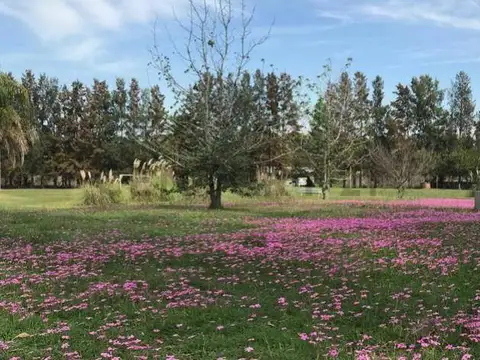 Terreno en Venta en La Plata, USD 100.000