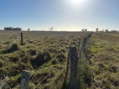 A 9km de la Ruta N°3, Ciudad de Las Flores