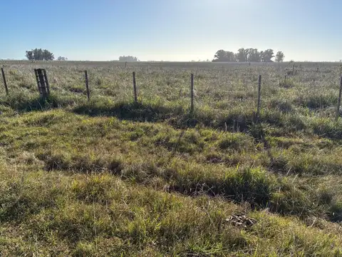 A 9km de la Ruta N°3, Ciudad de Las Flores