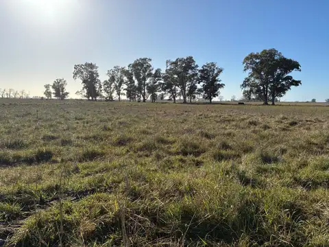 Campo en venta a 9km de la Ruta N°3, Ciudad de Las Flores