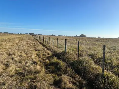 Campo en venta a 9km de la Ruta N°3, Ciudad de Las Flores