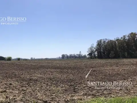 107 ha. Exaltación de la Cruz