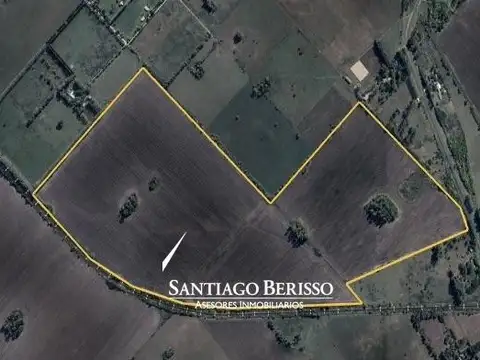 107 ha. Exaltación de la Cruz
