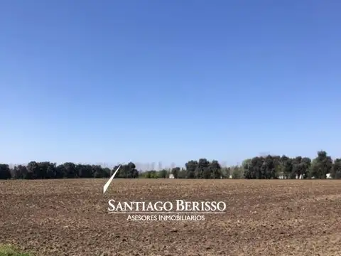 Exaltación de la Cruz