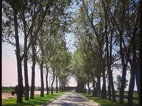 F. Cáceres Canning, La Alameda