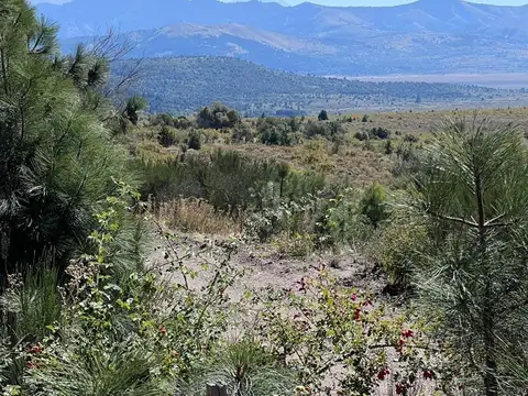 Terreno en Venta en San Martin de los Andes, Lácar