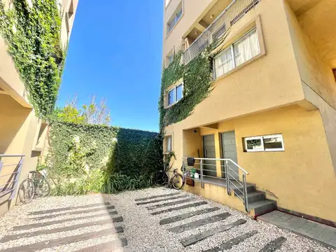 maipu 600