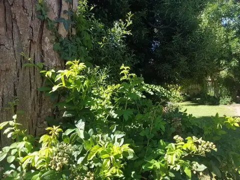 Terreno en Venta de 344,0 m2