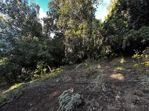 Terreno en Venta en San Carlos de Bariloche, USD 15.000