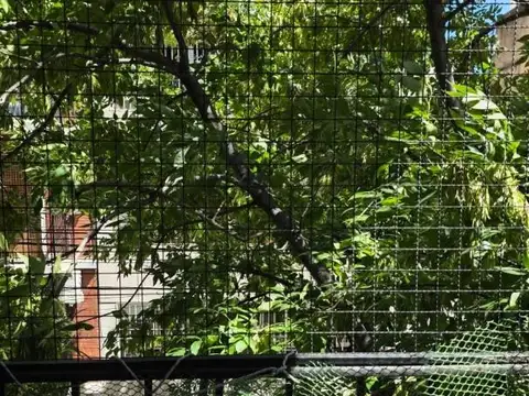 2 ambientes Departamento Alquiler