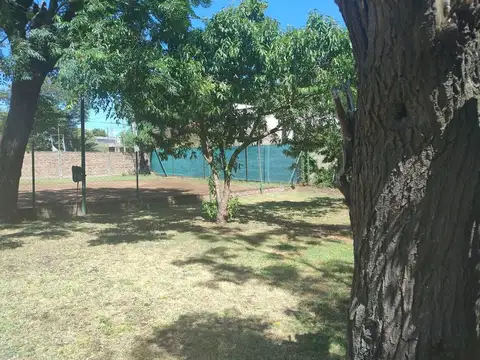 Andonaegui