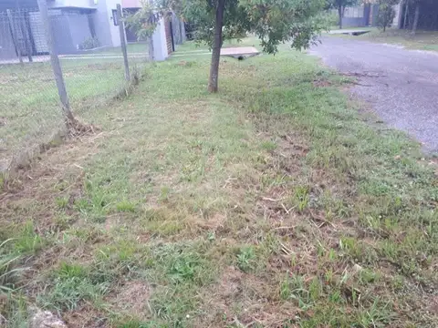 Brisa y Rio Cuarto