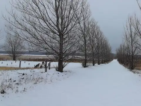 Terreno en Venta en Trapiche, USD 25.000