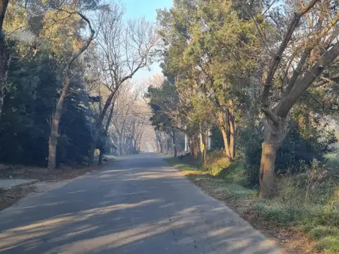 Terrenos y Lotes en Venta en City Bell [Cod: 7727-7540671]