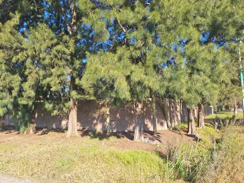 Terreno en Venta 80,75  mts Frente