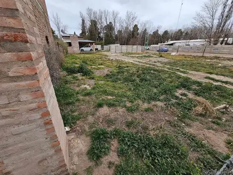 Amsterdam y Guayanas