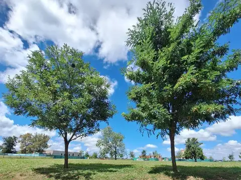 Terreno en Venta de 660,0 m2