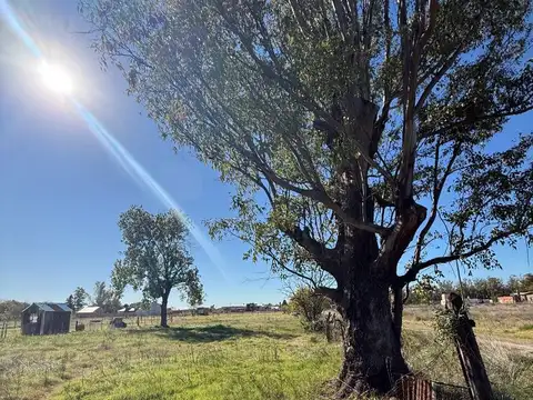 ¡Único Lote en Esquina! 968m² en el corazón de Villa Ruiz.
