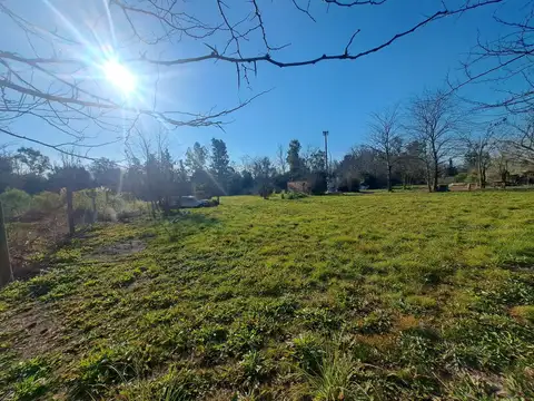 Venta lote La Lonja Pilar