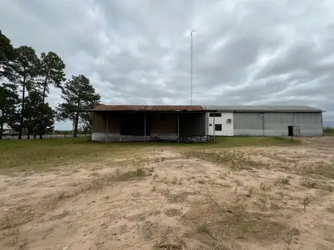 Galpón en alquiler