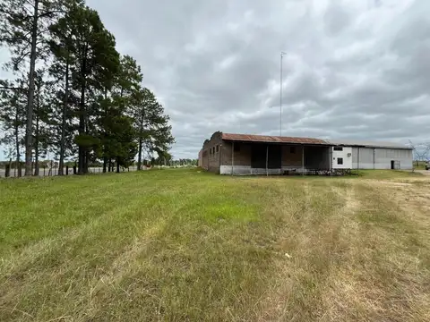 Galpón en alquiler