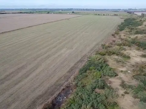 VENTA/CAMPO AGRICOLA/SUELO 1/RAFAELA