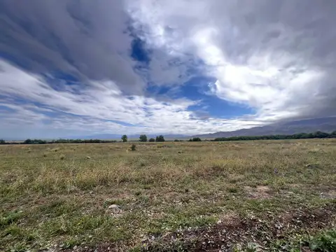 Terreno en Venta de 20000,0 m2