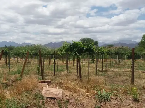 Quinta en Venta en Copacabana, USD 135.000