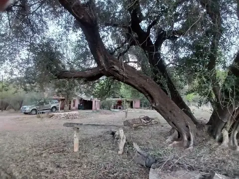 SE VENDE FINCA CON BODEGA, CAVA Y PARRAL 7083 M2