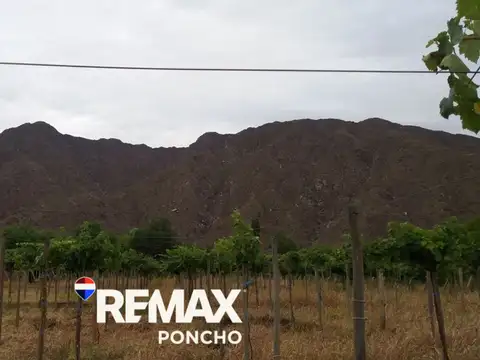 Calle Pública S/N°, Copacabana, Tinogasta, Catamarca 100
