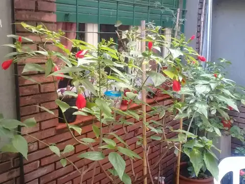 Casa en Venta en Velez Sarsfield, CABA