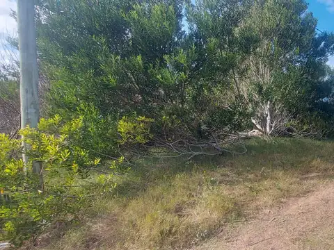 Terreno en Venta de 765,0 m2