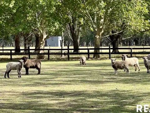 Chacras de la Alameda