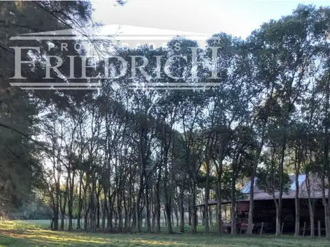 CHACRA DE 3 HECTÀREAS EN GENERAL RODRIGUEZ