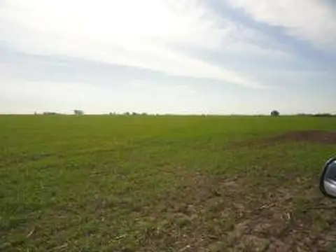 Campo en Venta con Alambrado