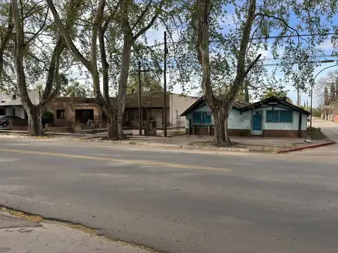 Gran oportunidad sobre av. San Martin esquina 2 casas local y terreno