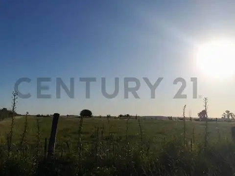 Venta de Lote en Gómez de la Vega, Brandsen