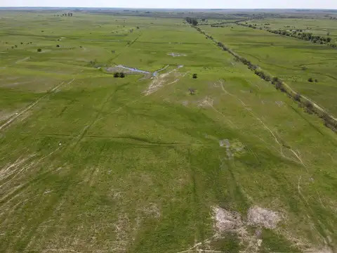 Venta Campo 100 hectáreas