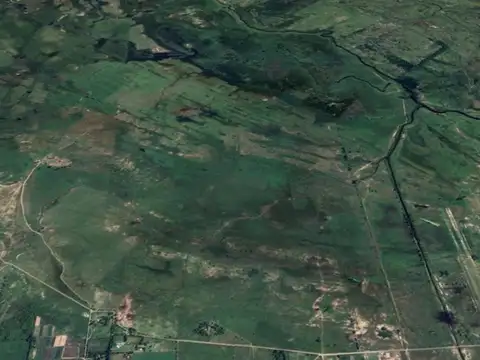 Venta Campo 100 hectáreas