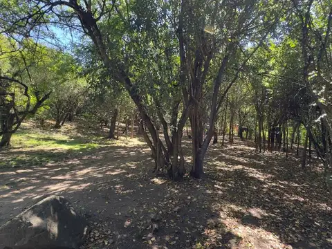 Terreno en Venta de 2000,0 m2
